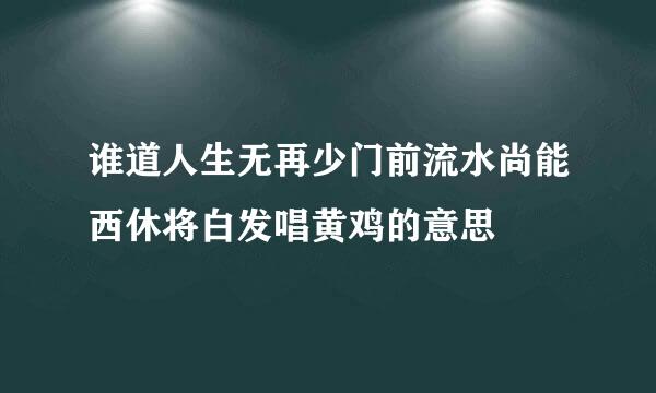 谁道人生无再少门前流水尚能西休将白发唱黄鸡的意思