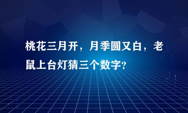 桃花三月开，月季圆又白，老鼠上台灯猜三个数字？