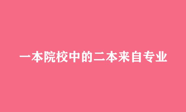 一本院校中的二本来自专业