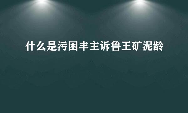 什么是污困丰主诉鲁王矿泥龄