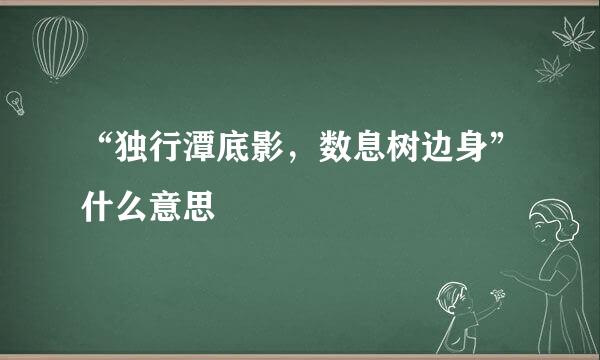 “独行潭底影，数息树边身”什么意思