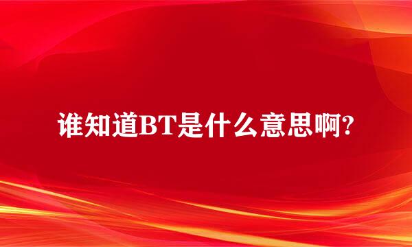 谁知道BT是什么意思啊?