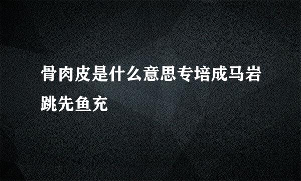 骨肉皮是什么意思专培成马岩跳先鱼充