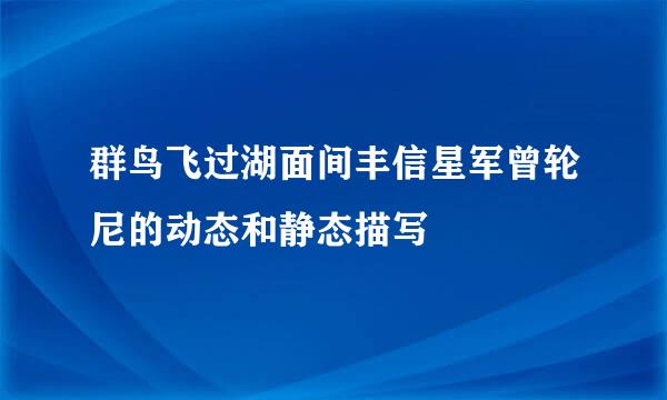 群鸟飞过湖面间丰信星军曾轮尼的动态和静态描写