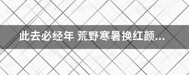 此去必经年 荒野寒暑换红颜   往事散云烟 十寸光阴换赵守坐染一一钱