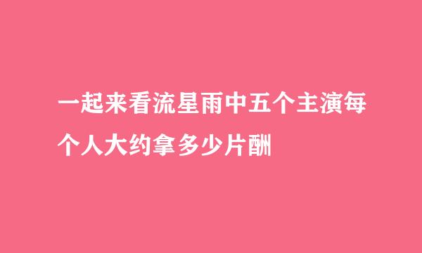 一起来看流星雨中五个主演每个人大约拿多少片酬