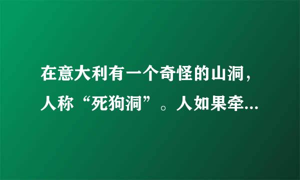 在意大利有一个奇怪的山洞，人称“死狗洞”。人如果牵着一条狗进去的话，狗很快就会昏迷但人却安然无恙，你能想出为什么吗？