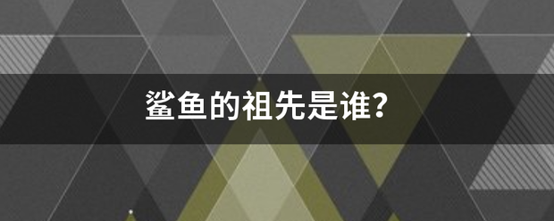 鲨鱼的祖先是谁？