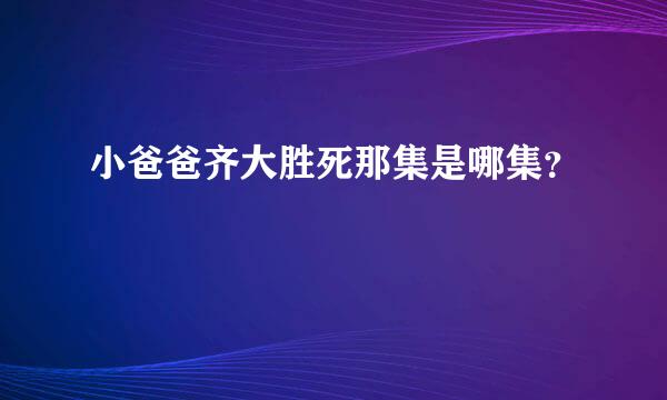 小爸爸齐大胜死那集是哪集？