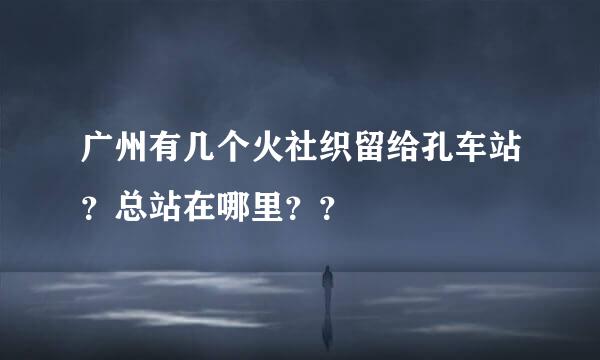 广州有几个火社织留给孔车站？总站在哪里？？