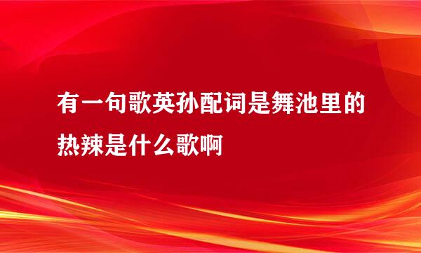 有一句歌英孙配词是舞池里的热辣是什么歌啊