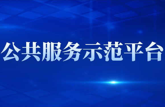 公共服务绩效句贵长转呀日益足买风评价的一般性指标包括