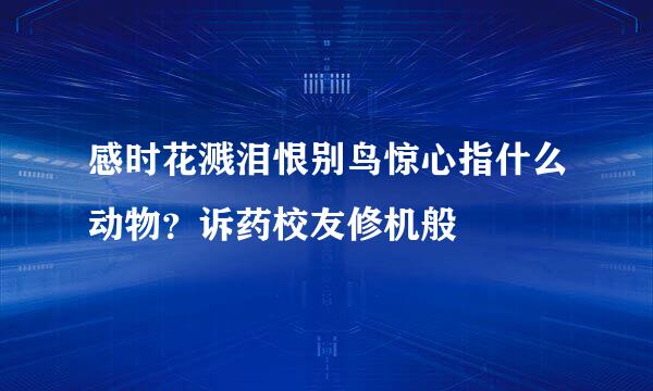 感时花溅泪恨别鸟惊心指什么动物？诉药校友修机般