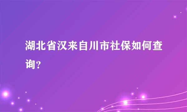 湖北省汉来自川市社保如何查询？