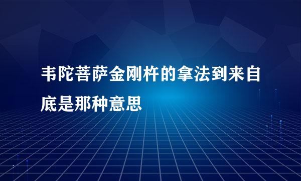 韦陀菩萨金刚杵的拿法到来自底是那种意思