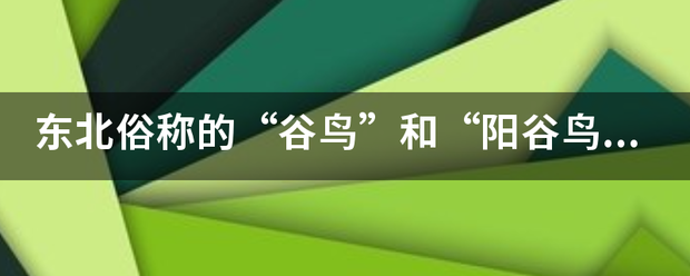 东北俗称的“谷鸟”和“阳谷鸟”的水果学名叫什么？