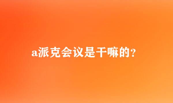 a派克会议是干嘛的？