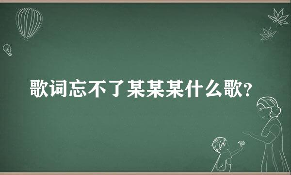 歌词忘不了某某某什么歌？