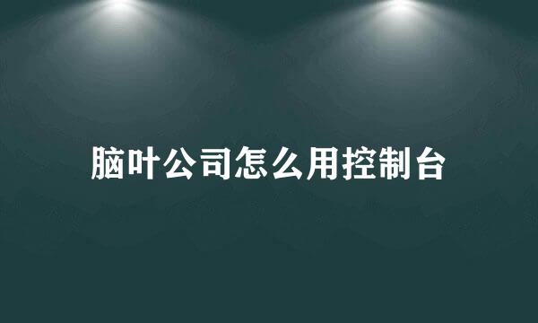 脑叶公司怎么用控制台