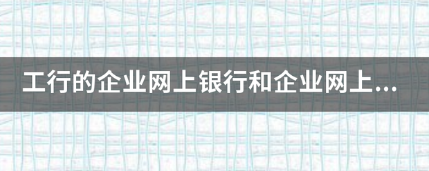 工行的企业网上银行和企业网上银行普及版有什？