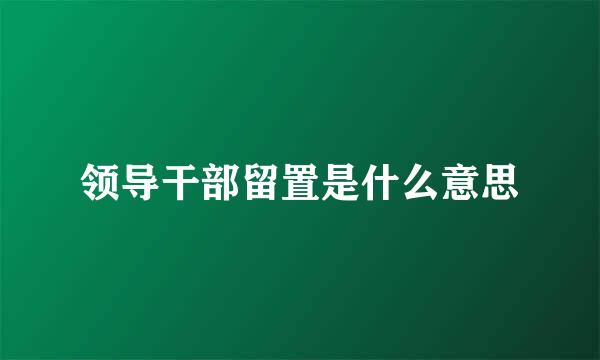 领导干部留置是什么意思