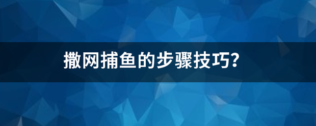 撒网捕鱼的步骤技巧？