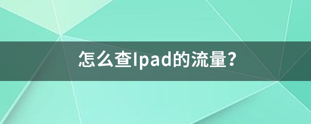 怎么查Ipad的流量？