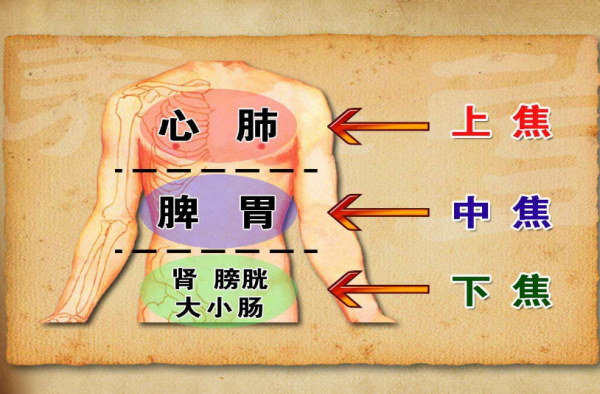 上焦，中焦，下焦，是什么意思？