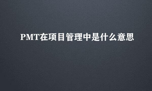 PMT在项目管理中是什么意思