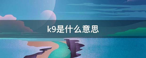 k9是什么意思