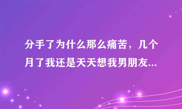 分手了为什么那么痛苦，几个月了我还是天天想我男朋友，日日夜夜想，没有食欲，真的快扛不住了谁能帮帮我