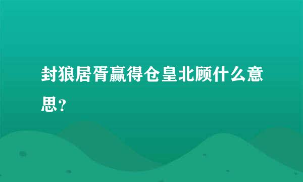 封狼居胥赢得仓皇北顾什么意思？