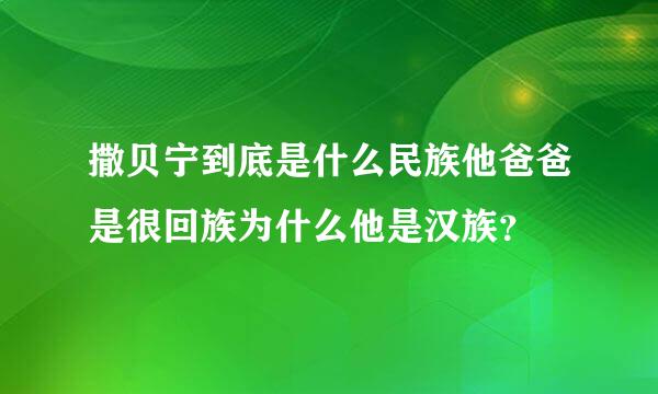 撒贝宁到底是什么民族他爸爸是很回族为什么他是汉族？