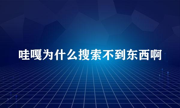 哇嘎为什么搜索不到东西啊