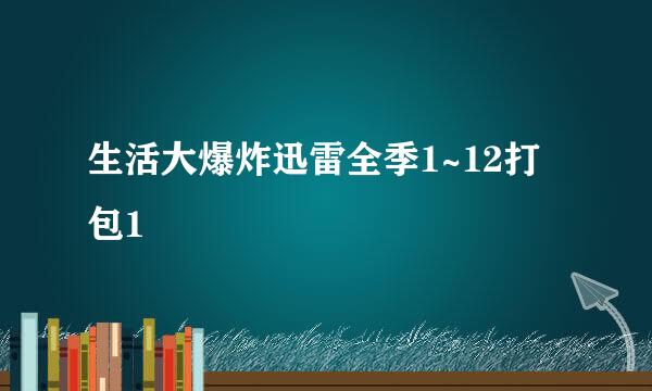 生活大爆炸迅雷全季1~12打包1