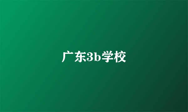 广东3b学校