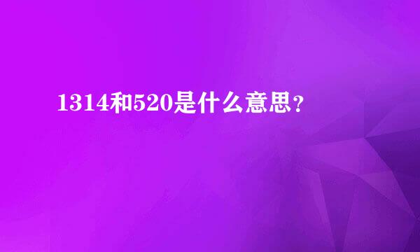 1314和520是什么意思？