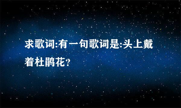 求歌词:有一句歌词是:头上戴着杜鹃花？