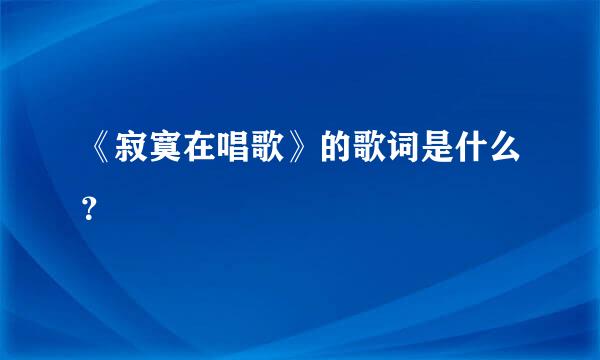 《寂寞在唱歌》的歌词是什么？