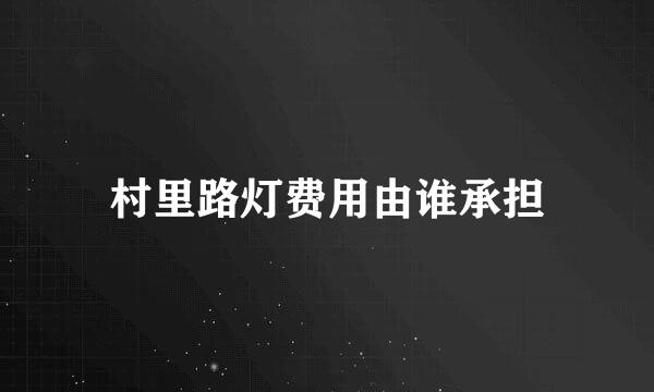 村里路灯费用由谁承担