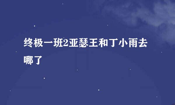 终极一班2亚瑟王和丁小雨去哪了