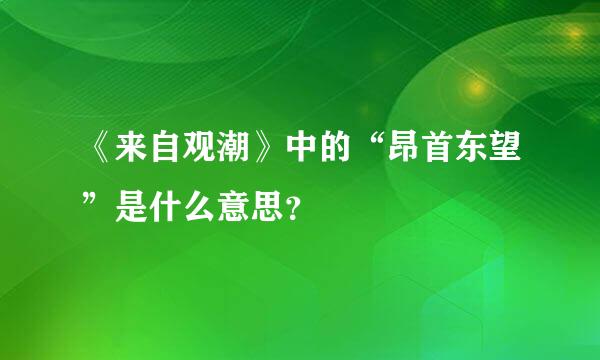 《来自观潮》中的“昂首东望”是什么意思？