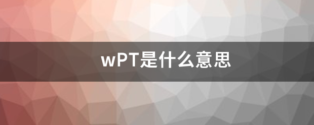 w逐营兴探只PT是什么意思