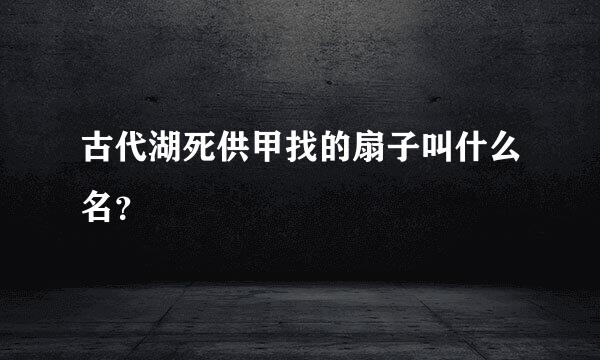 古代湖死供甲找的扇子叫什么名？