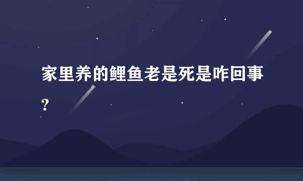 家里养的鲤鱼老是死是咋回事？