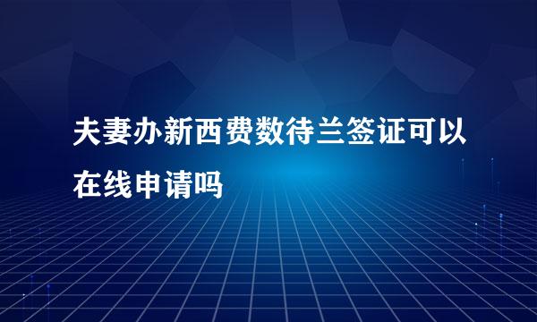 夫妻办新西费数待兰签证可以在线申请吗