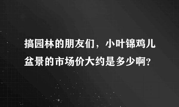 搞园林的朋友们，小叶锦鸡儿盆景的市场价大约是多少啊？