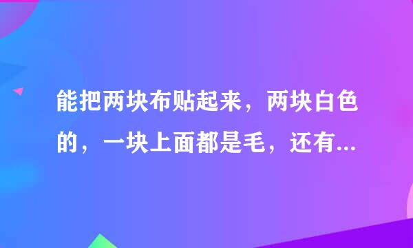 能把两块布贴起来，两块白色的，一块上面都是毛，还有一块上面都是小勾子一样的，那个叫什么？