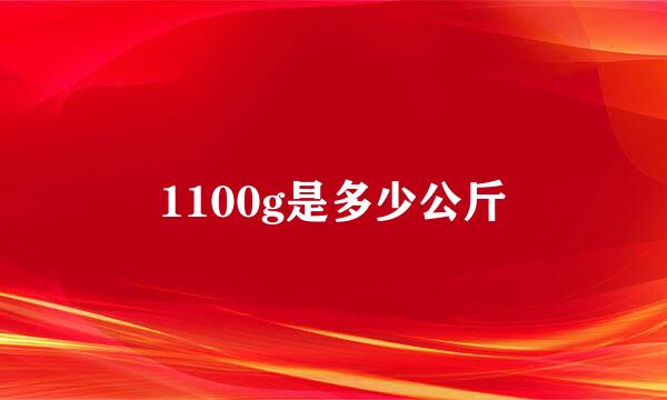 1100g是多少公斤