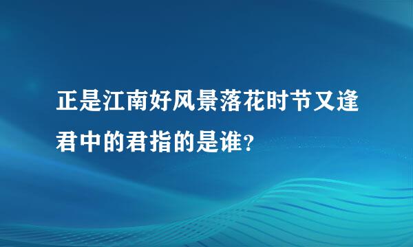 正是江南好风景落花时节又逢君中的君指的是谁？